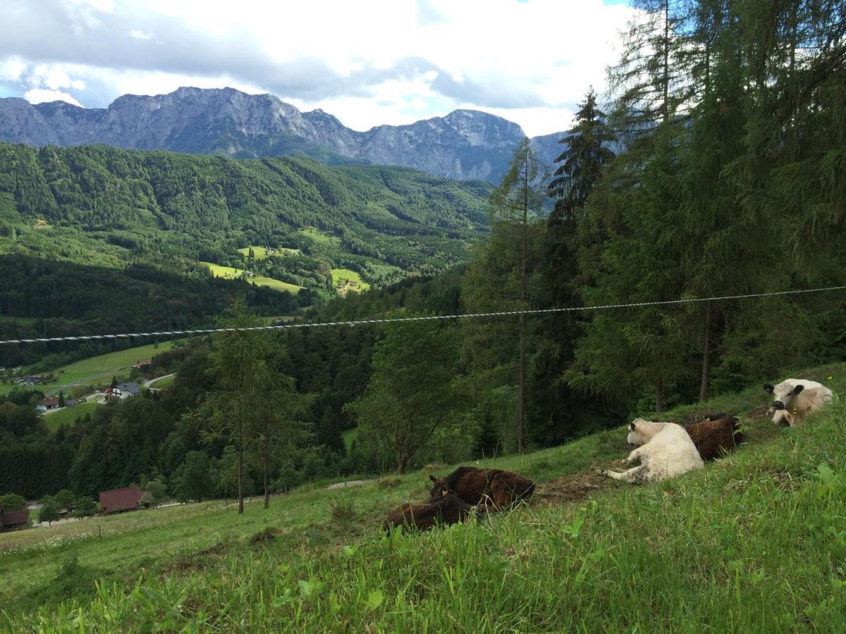 Kreitalm - Kraftplatz Im Salzkammergut Neukirchen  外观 照片