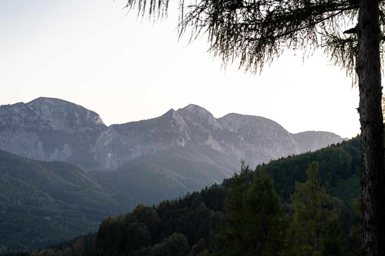 Kreitalm - Kraftplatz Im Salzkammergut Neukirchen  外观 照片