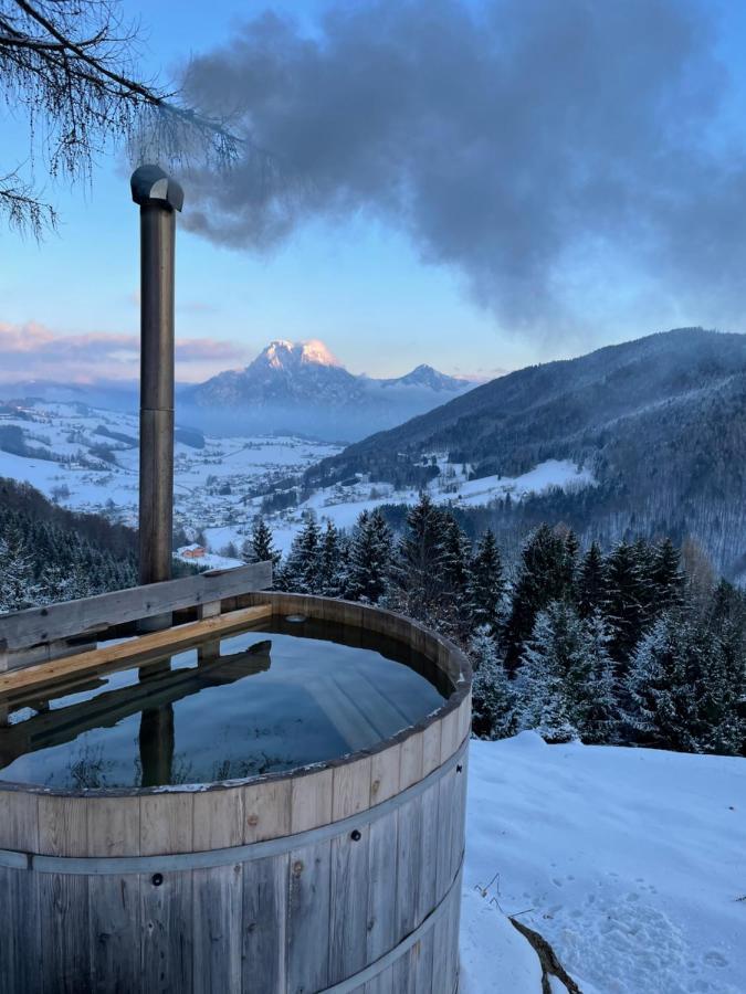 Kreitalm - Kraftplatz Im Salzkammergut Neukirchen  外观 照片
