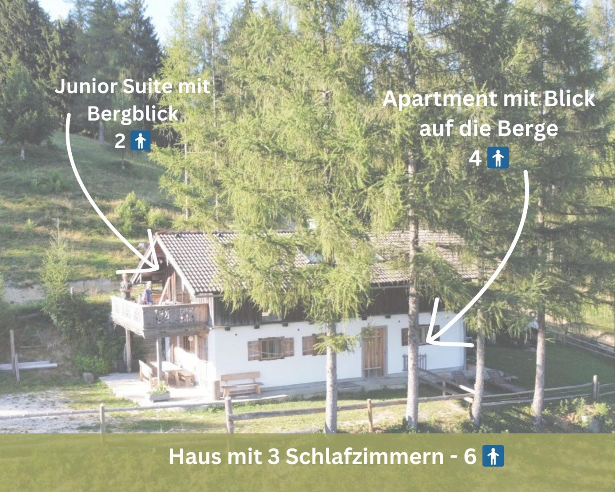 Kreitalm - Kraftplatz Im Salzkammergut Neukirchen  外观 照片